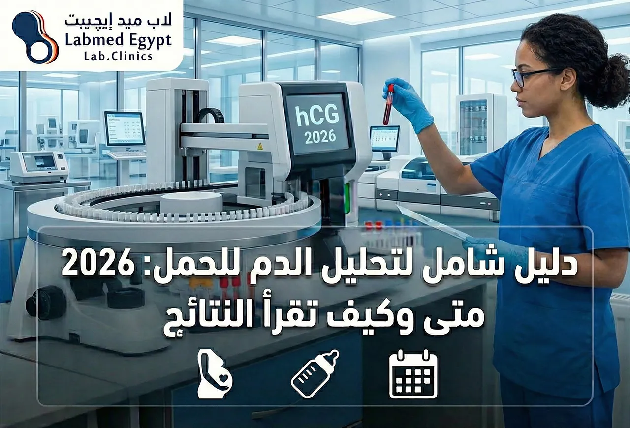 دليل شامل لتحليل الدم للحمل: متى وكيف تقرأ النتائج 2026