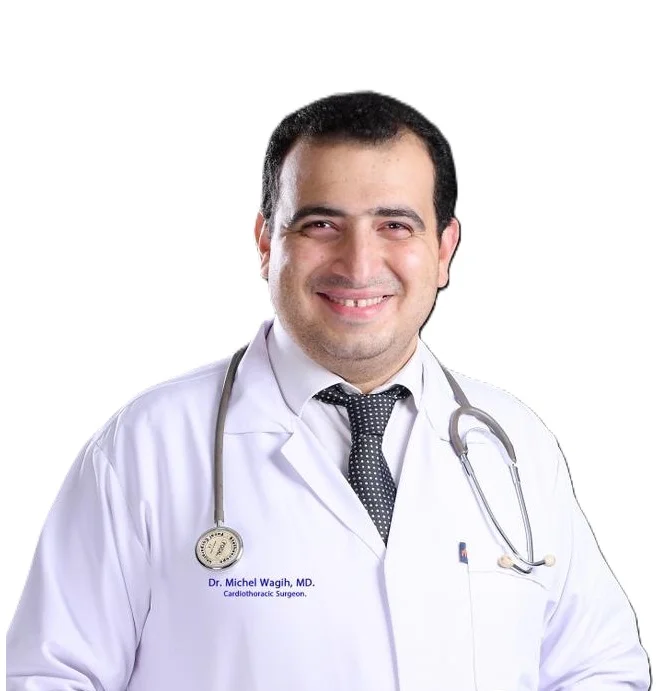 د ميشيل وجيه